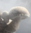 увлажнение воздуха в грибной ферме